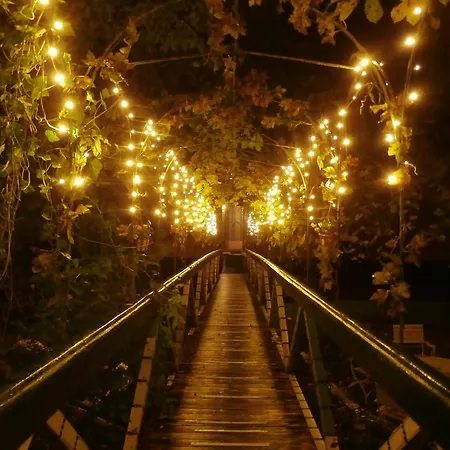 Szálloda Drijfpaleis 2*