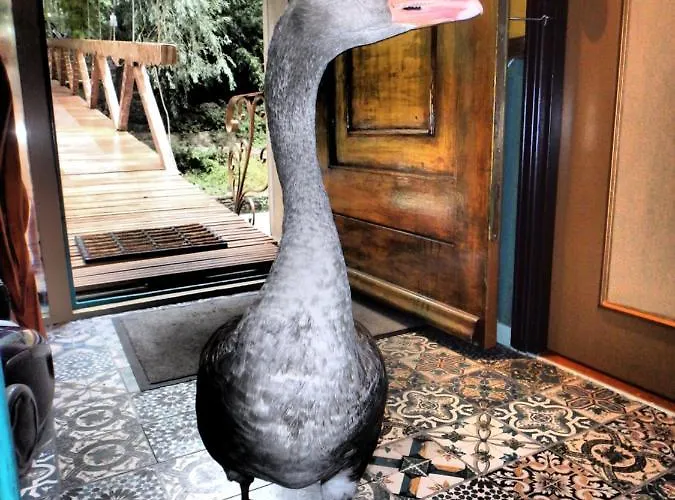 מלון Drijfpaleis 2*