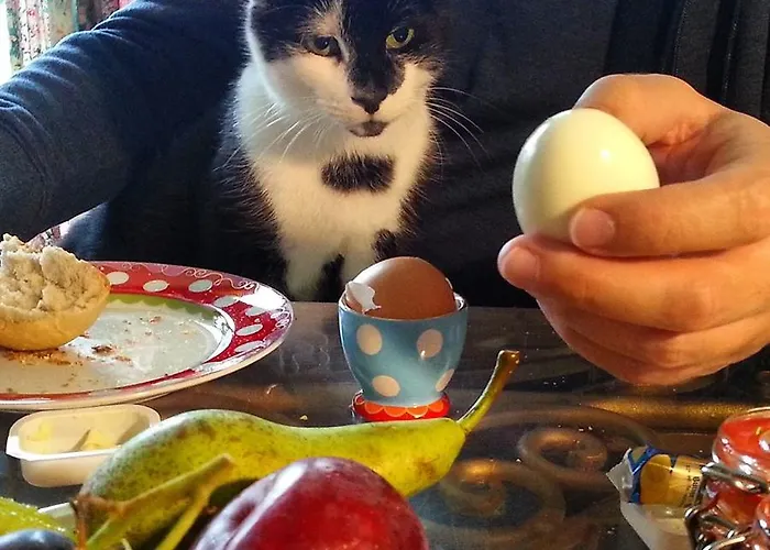 Drijfpaleis מלון ארנהיים